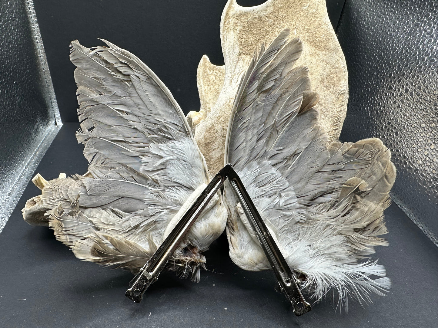 Quail Wing Barrettes (Yellow & Black)