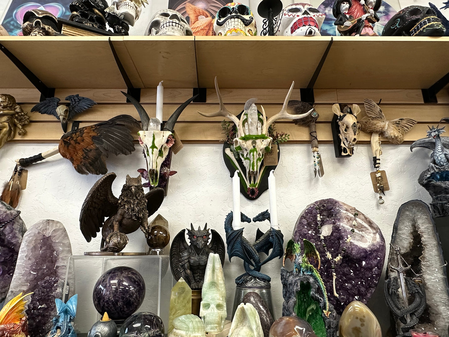 Deer Skull with Antlers & Crystals