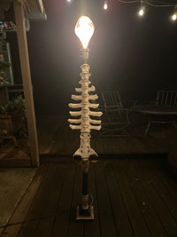 Tall Cow Spine Lamp