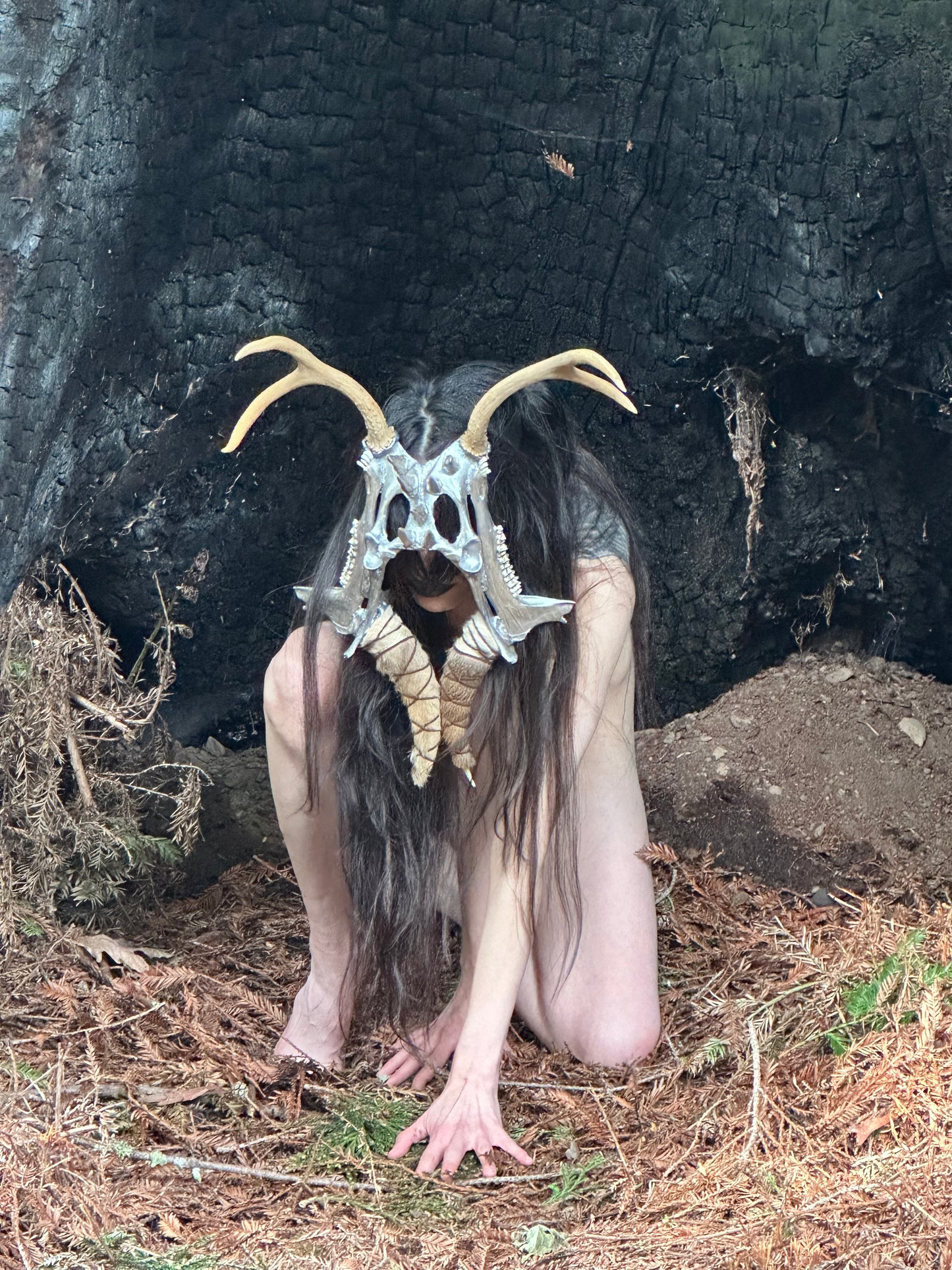 Deer Pelvis Mask (Silver)