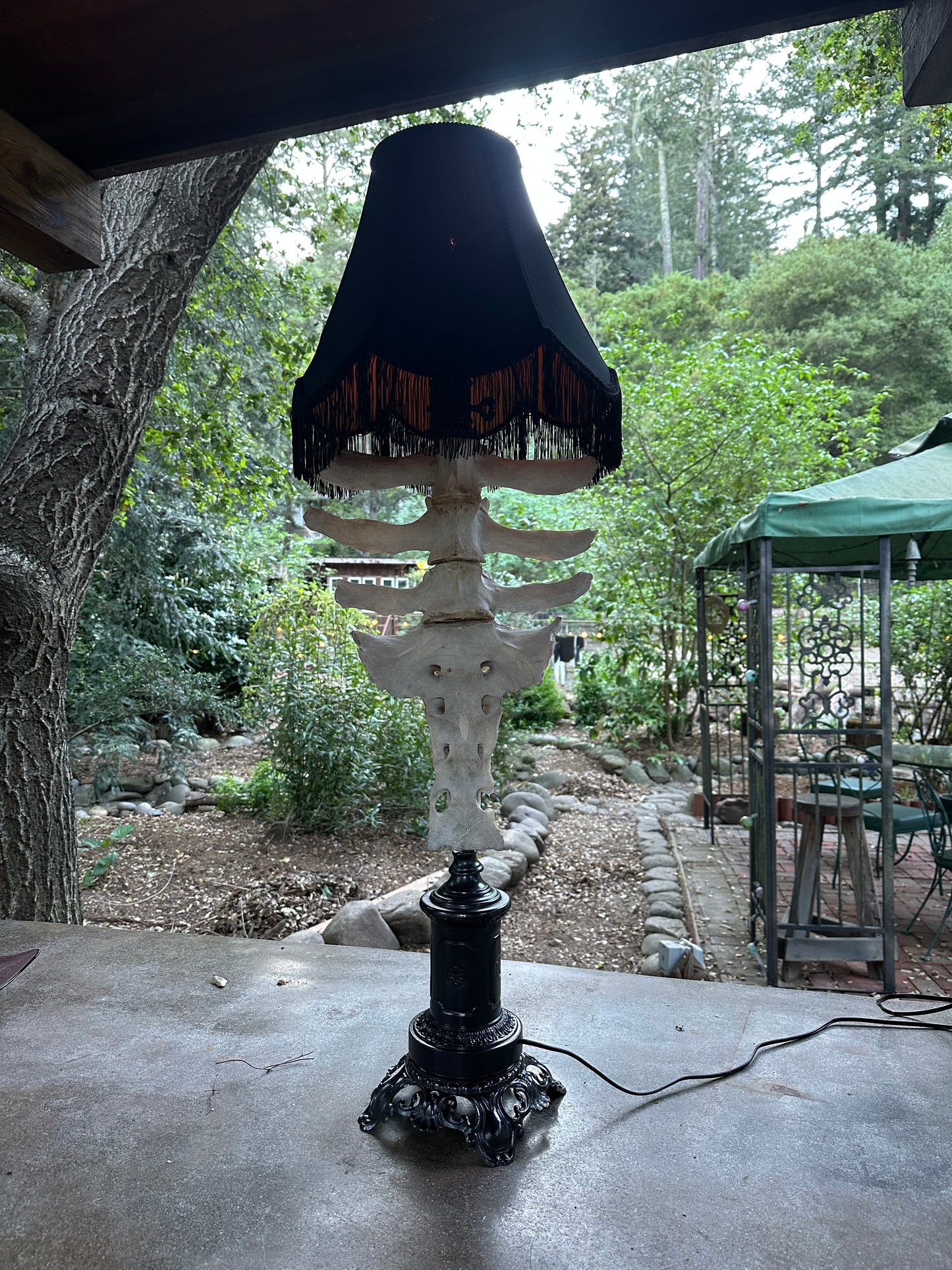 Cow Vertebrae and Sacrum Gothic Black Lamp