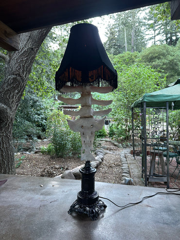 Cow Vertebrae and Sacrum Gothic Black Lamp