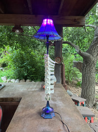 Elk Vertebrae Lamp