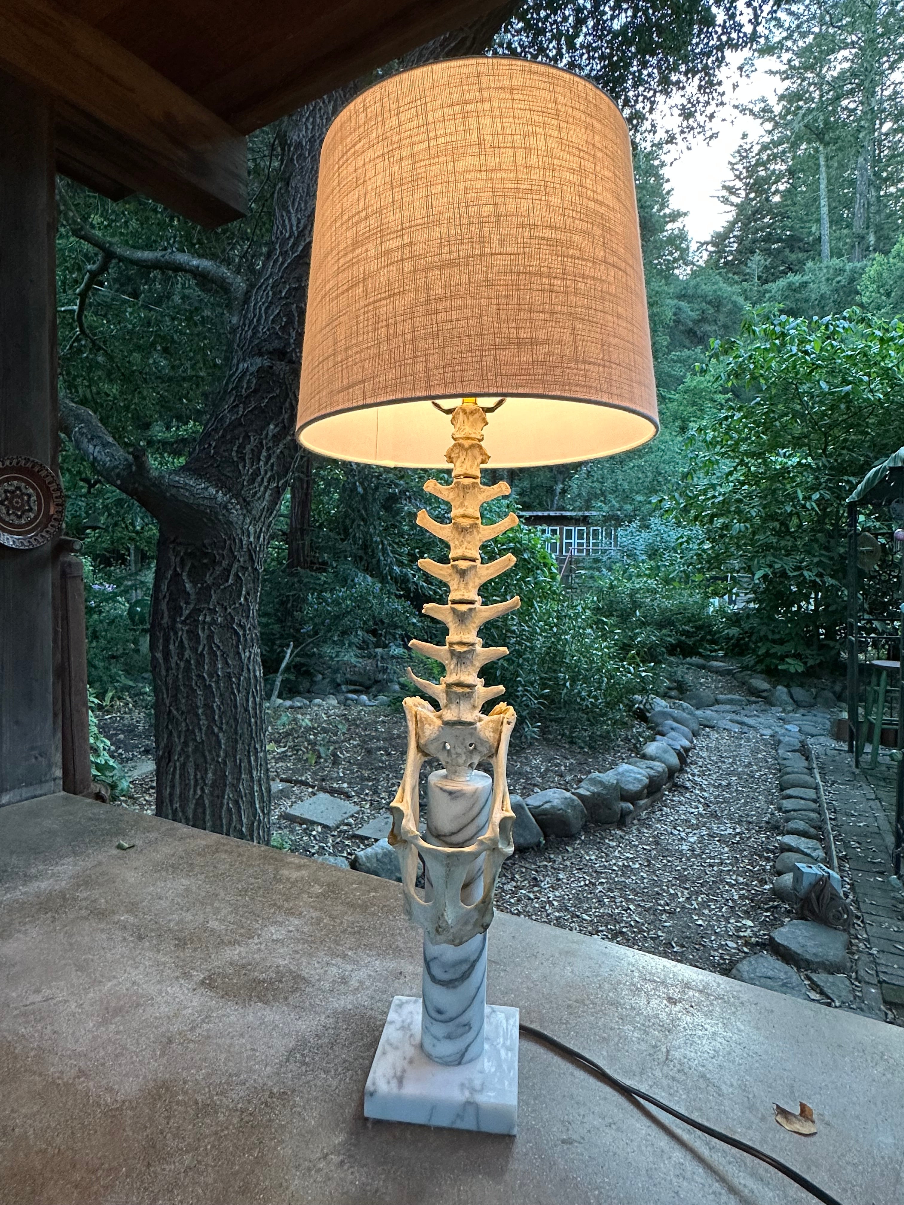 Deer Spine on Marble Base