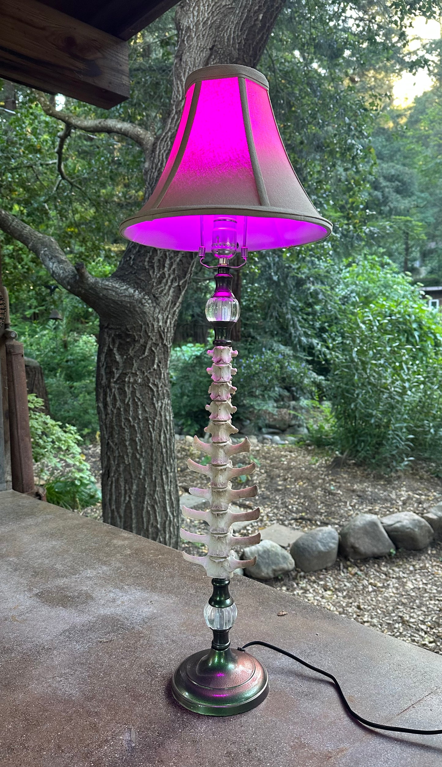 Deer Spine Lamp with Orbs