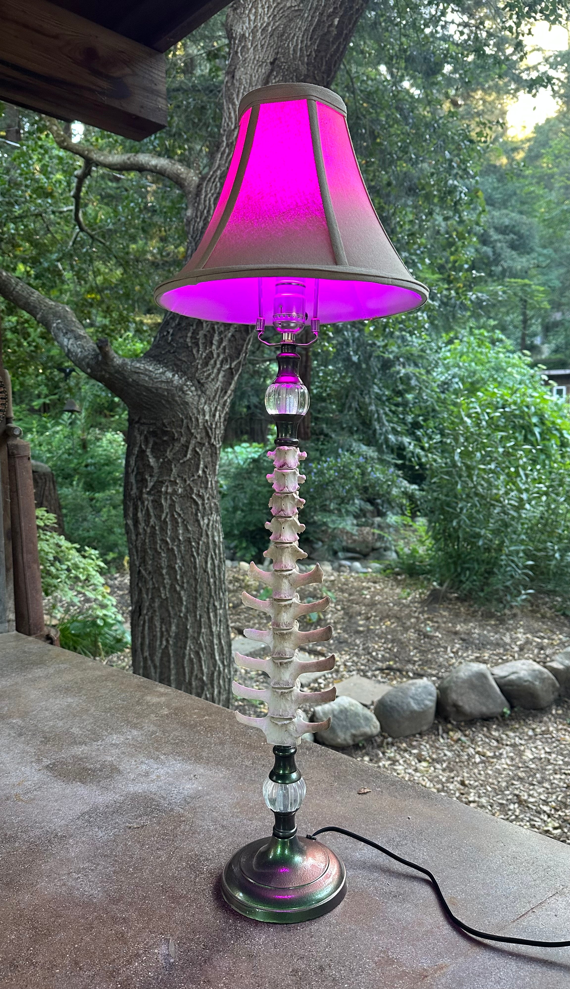 Deer Spine Lamp with Orbs