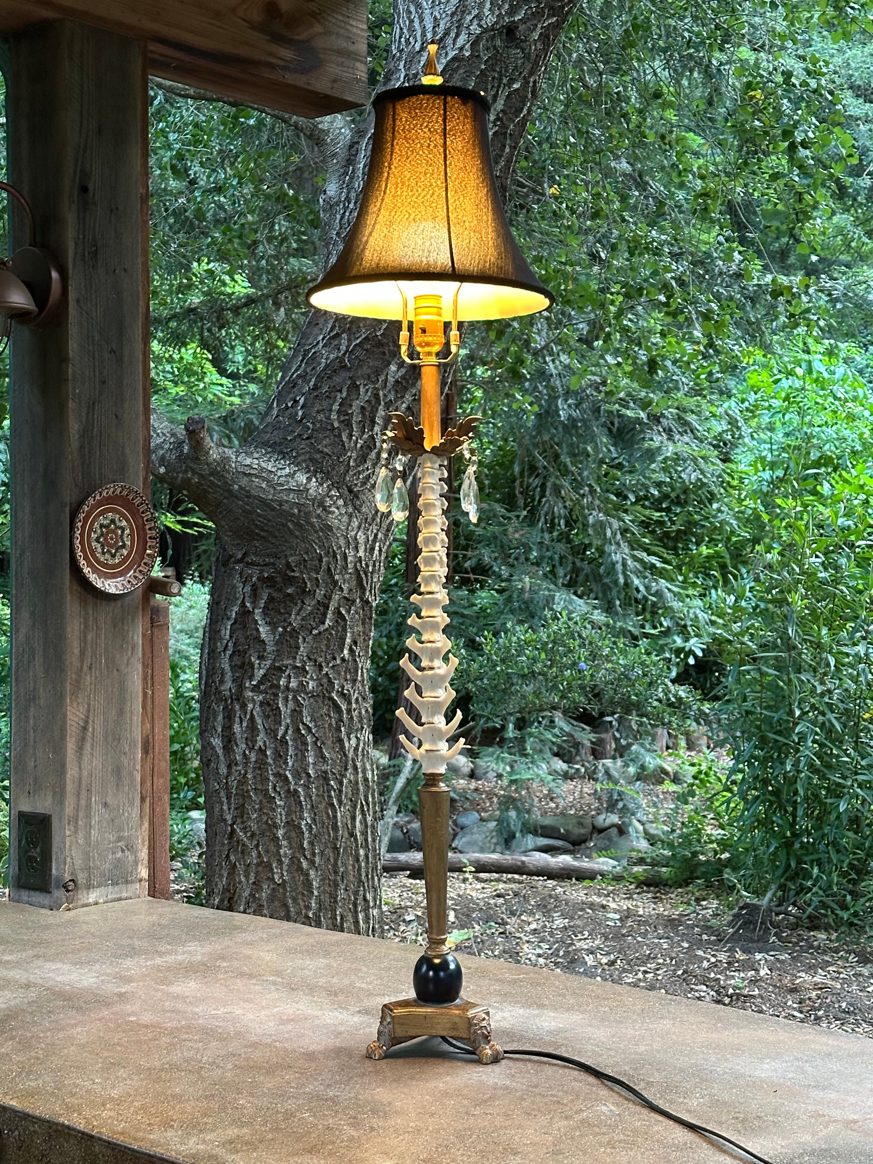 Goat Spine Lamp with Crystals