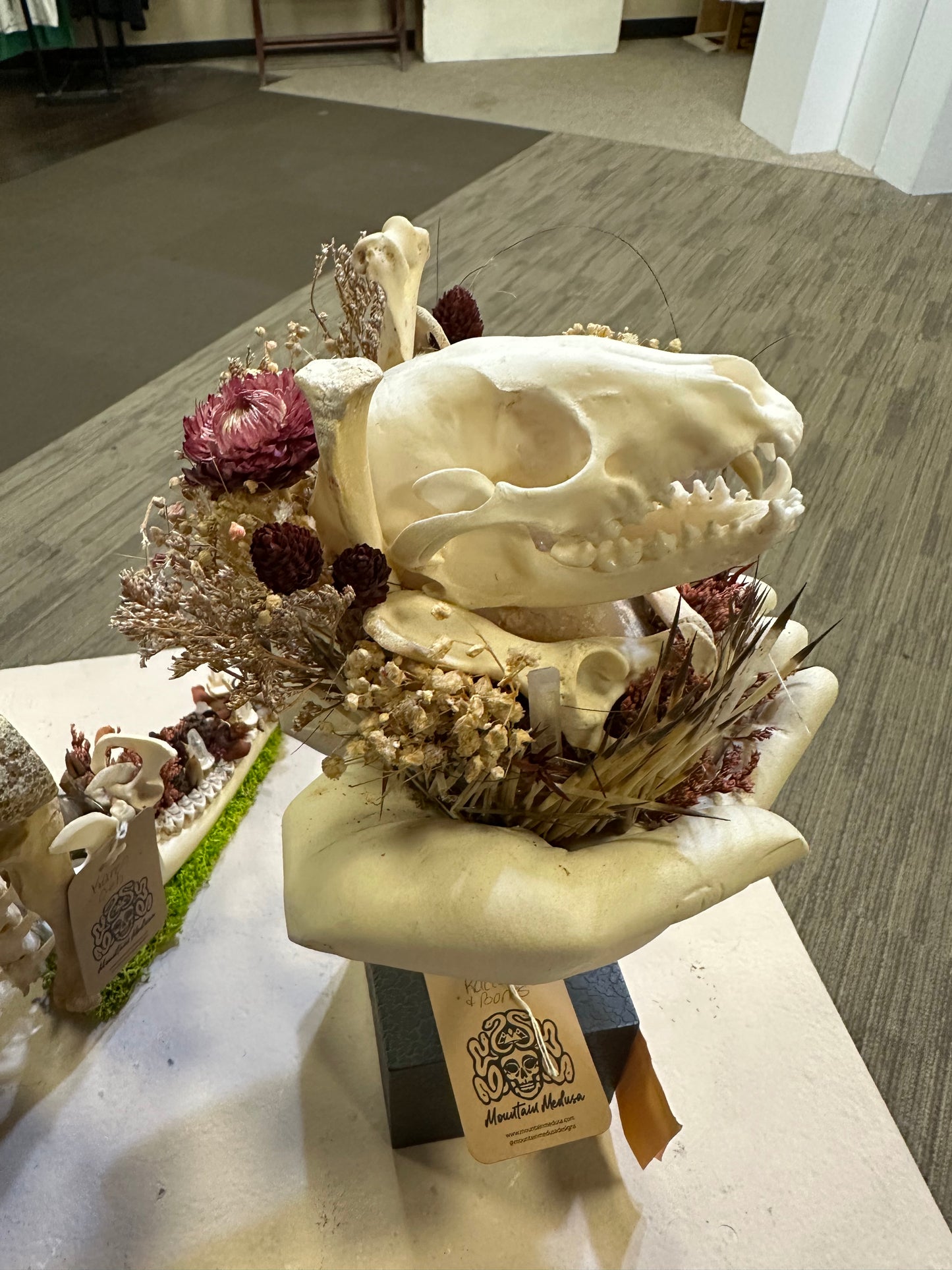Raccoon Skulls and Porcupine Quills