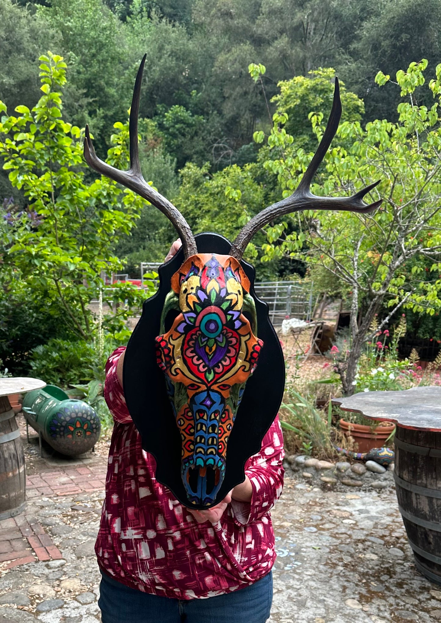 Painted Cow Elk Skull Wall Plague