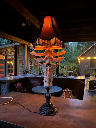 Cow Vertebrae and Sacrum Lamp