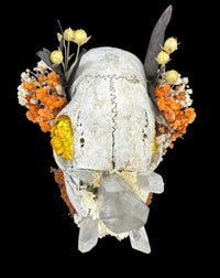 3D Printed Skull with Real Skull and Crystals