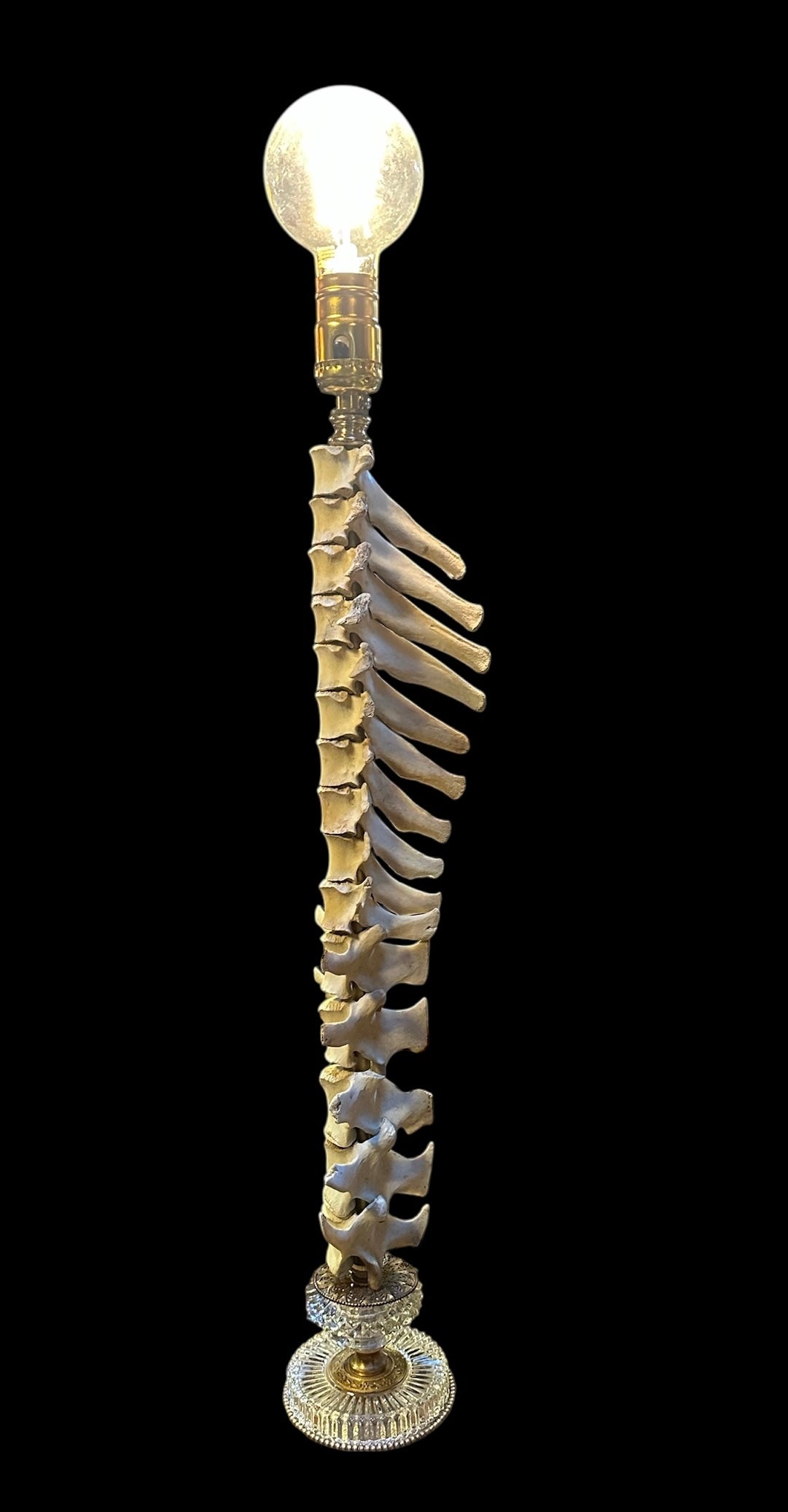 Deer Spine Lamp with Edison Bulb