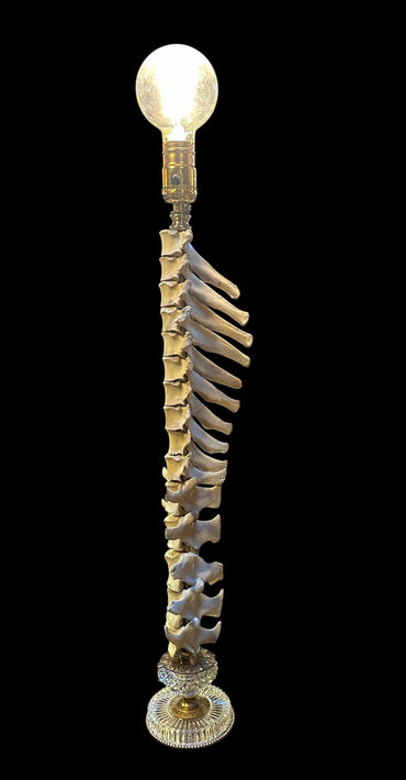 Deer Spine Lamp with Edison Bulb
