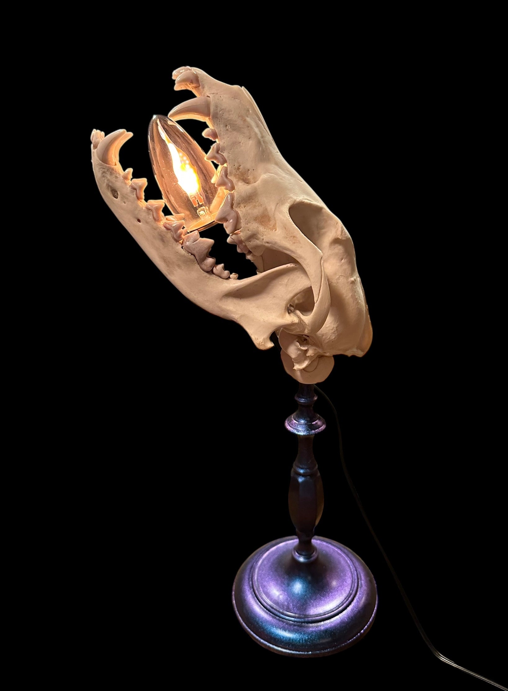 Coyote Skull Lamp (Blue)