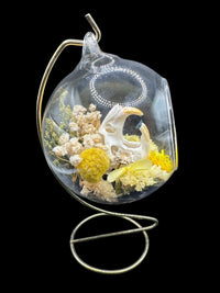 Glass Ornament - Muskrat Skull in Yellow
