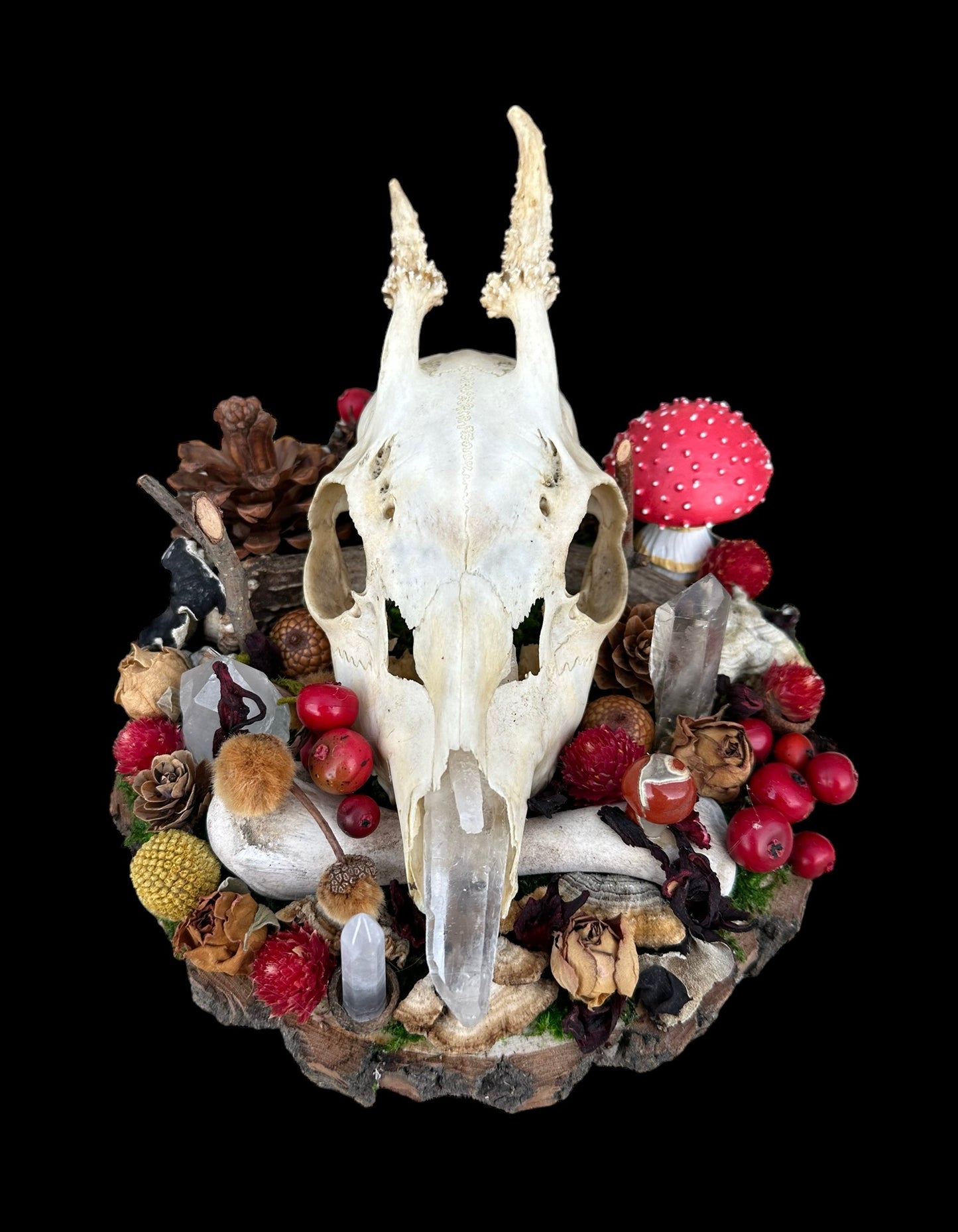 Polish Roe Deer Skull Pedestal