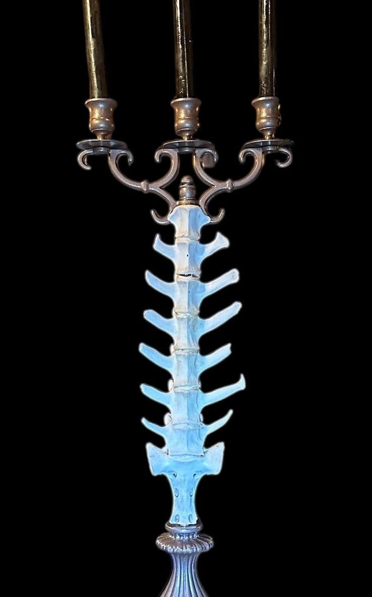 Brass Candelabra with Deer Vertebrae