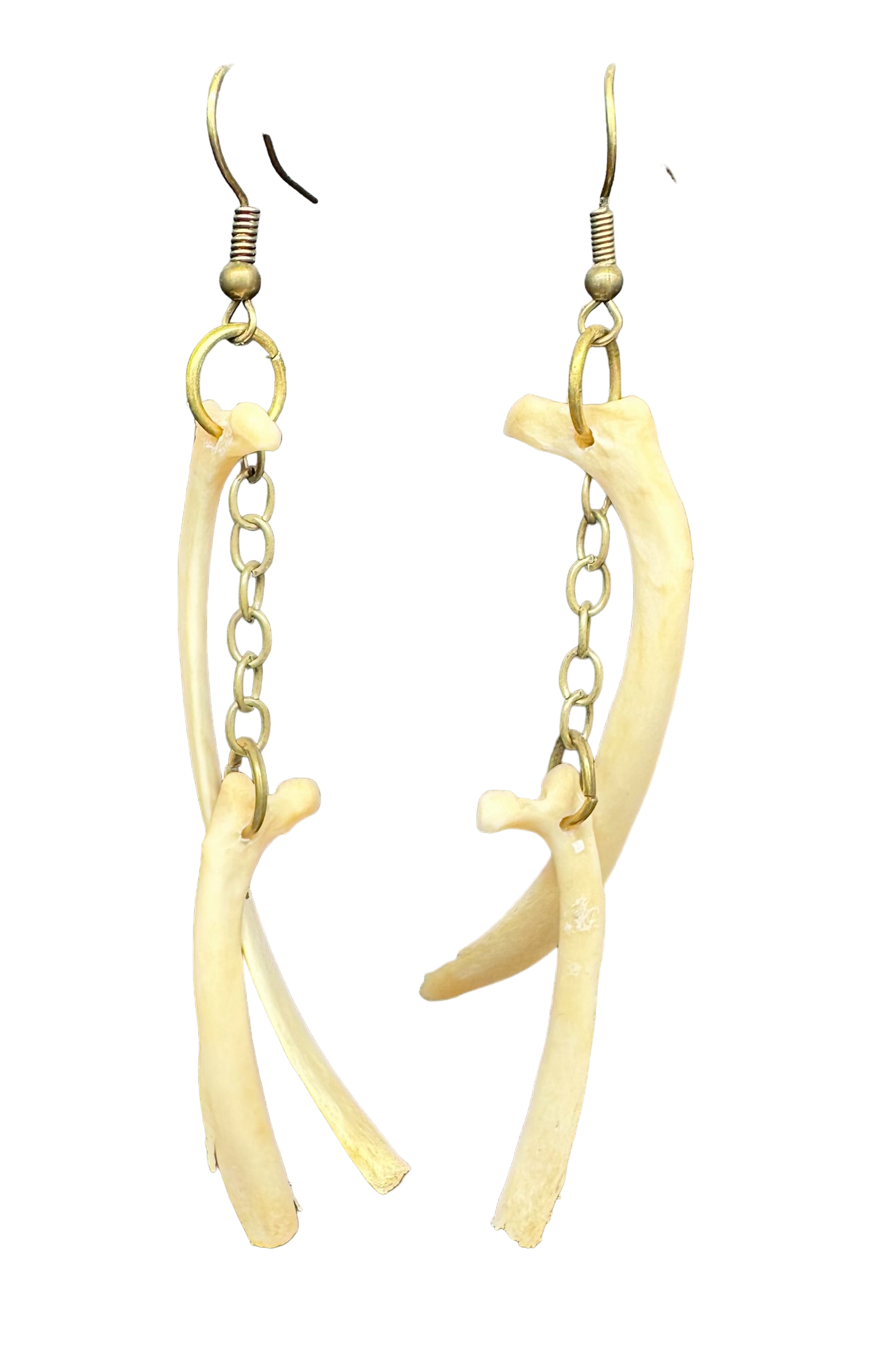 Fox Rib Earrings