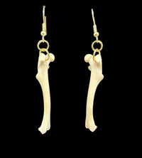 Raccoon Femur Earrings