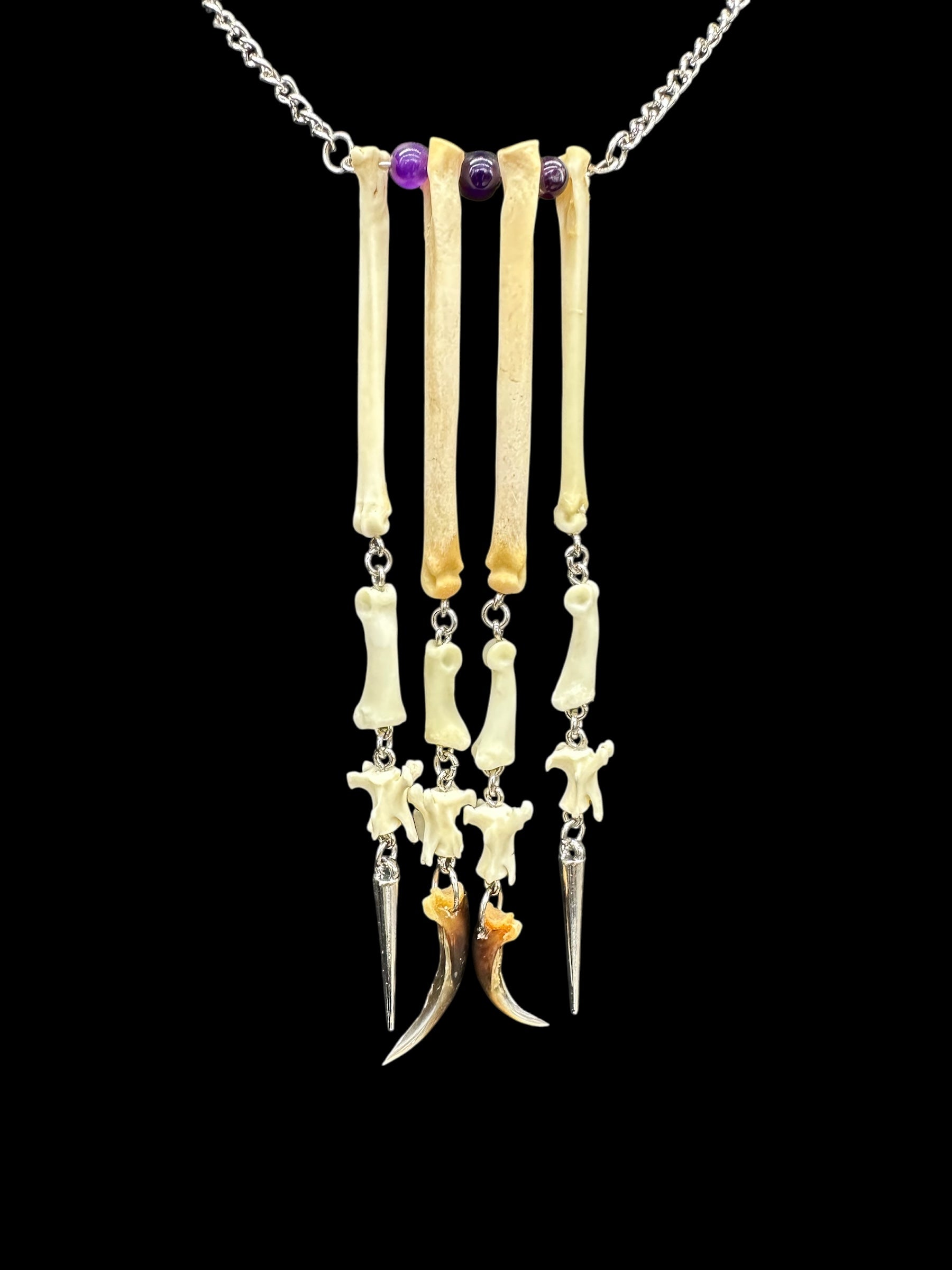 Hanging Paw Necklace with Porcupine Claws