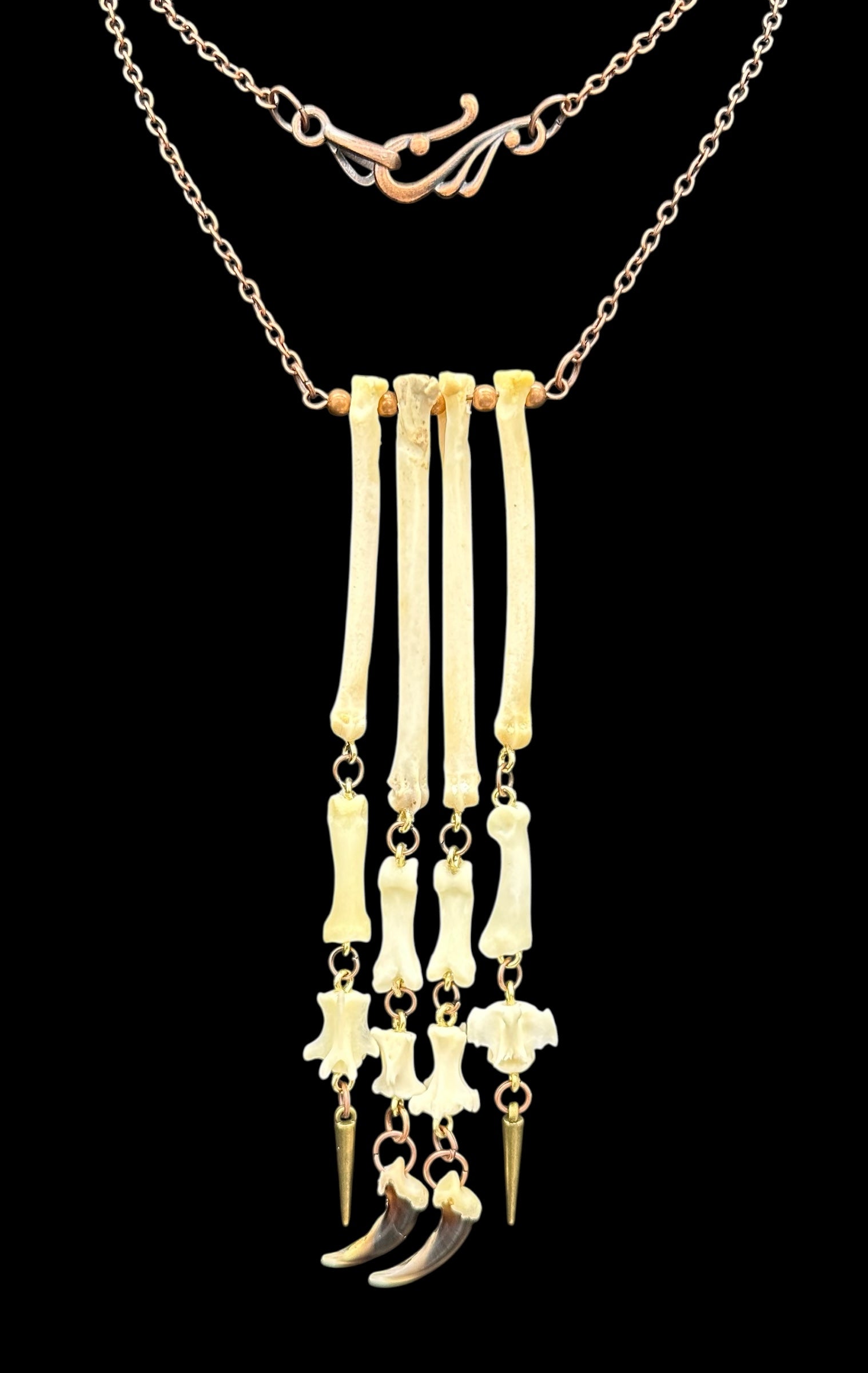 Hanging Paw Necklace with Coyote Claws