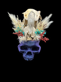 3D Printed Blue Skull with Real Skull & Quartz Crystal