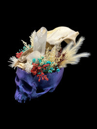 3D Printed Blue Skull with Real Skull & Quartz Crystal