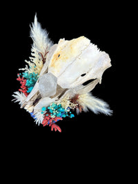 3D Printed Blue Skull with Real Skull & Quartz Crystal