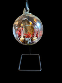 Glass Ornament - Dried Rabbit Ear with Quartz