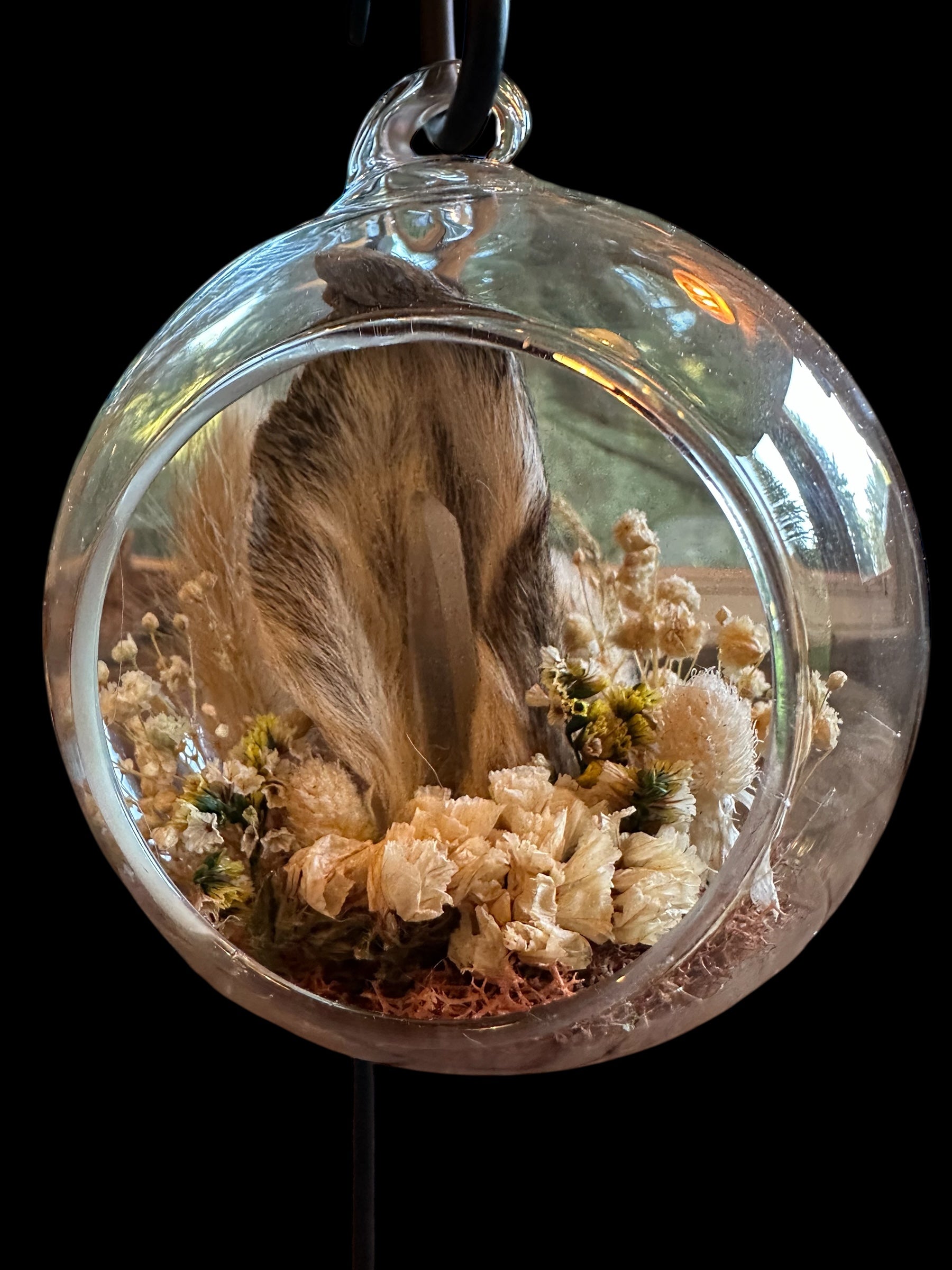 Glass Ornament - Dried Rabbit Ear