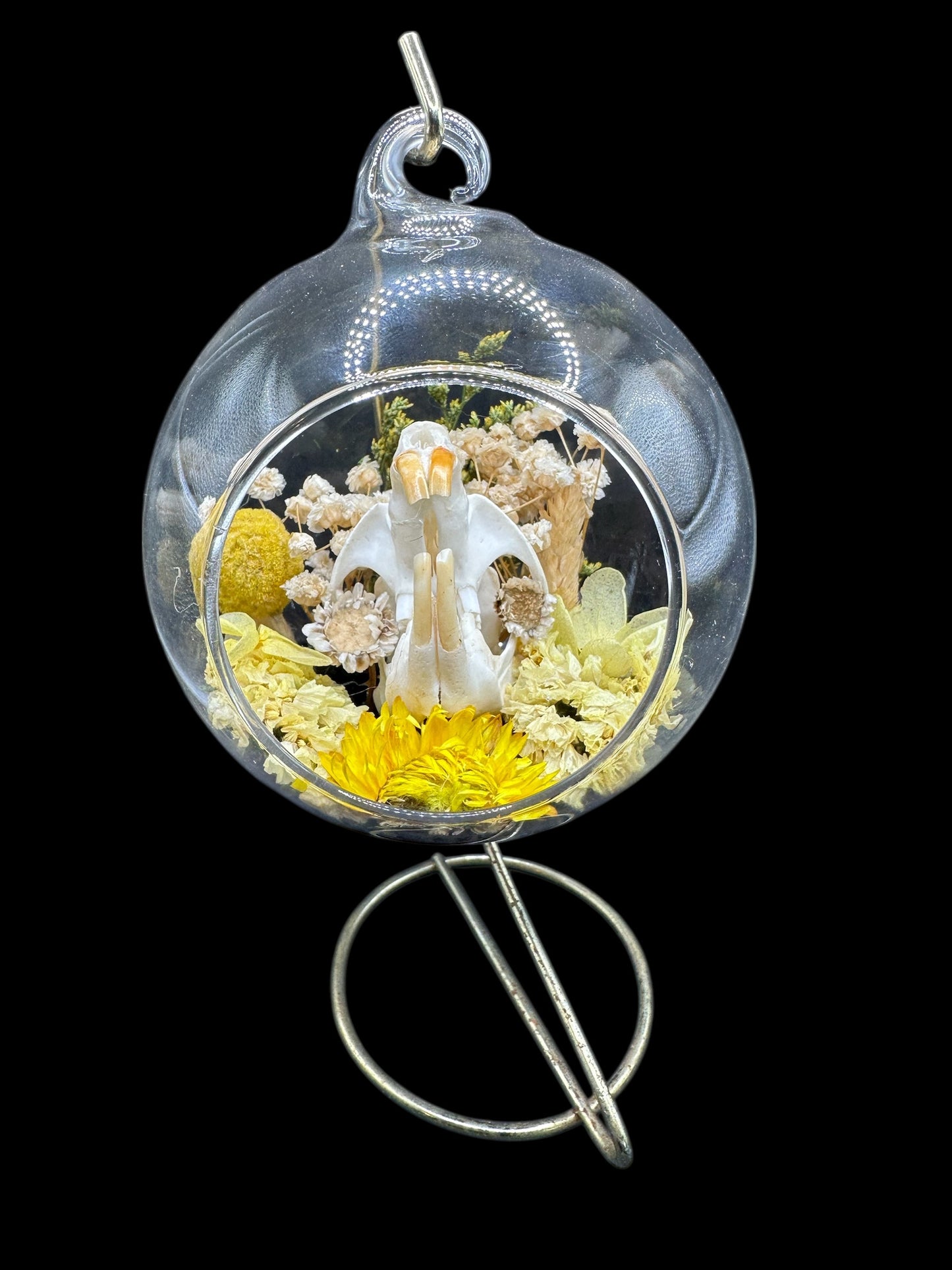 Glass Ornament - Muskrat Skull in Yellow