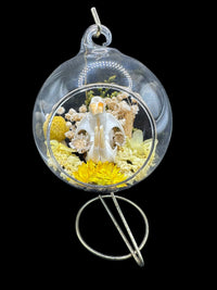 Glass Ornament - Muskrat Skull in Yellow