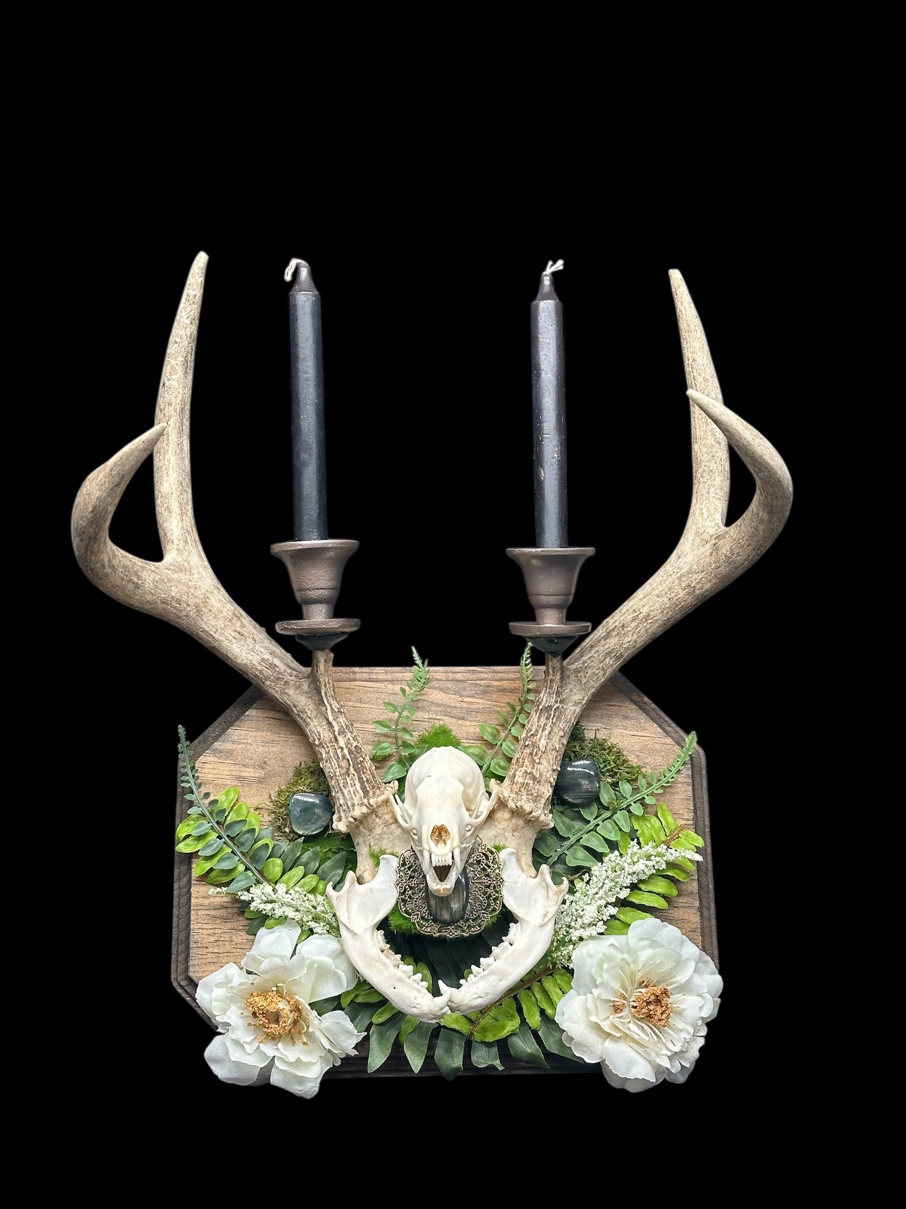 Deer Antler Candle Holder with Martin Skull
