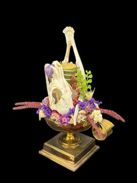 Fox Skull & Deer Jaw Candle Holder