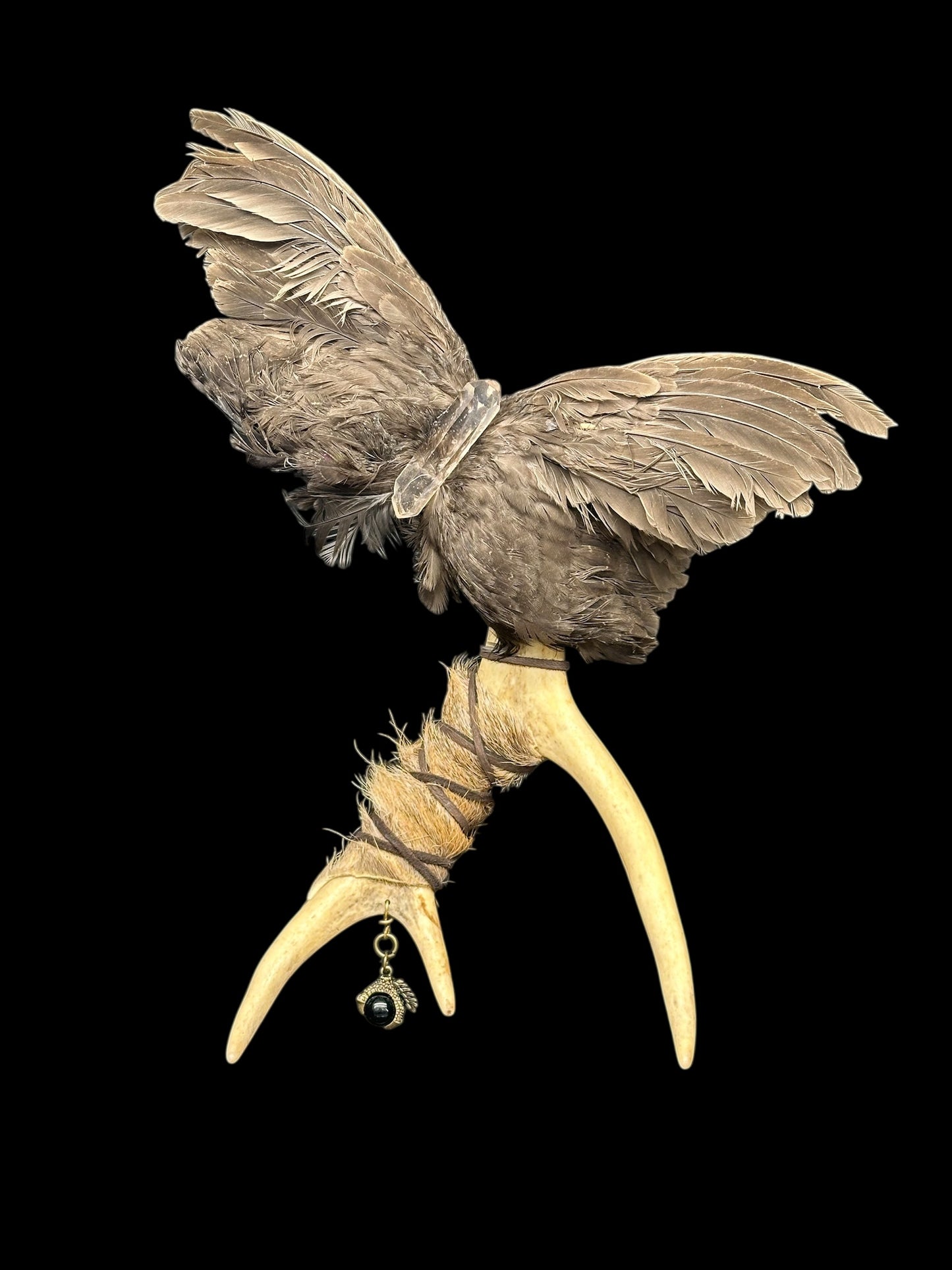 Quail Wing Smudge Fan with Deer Antler Handle