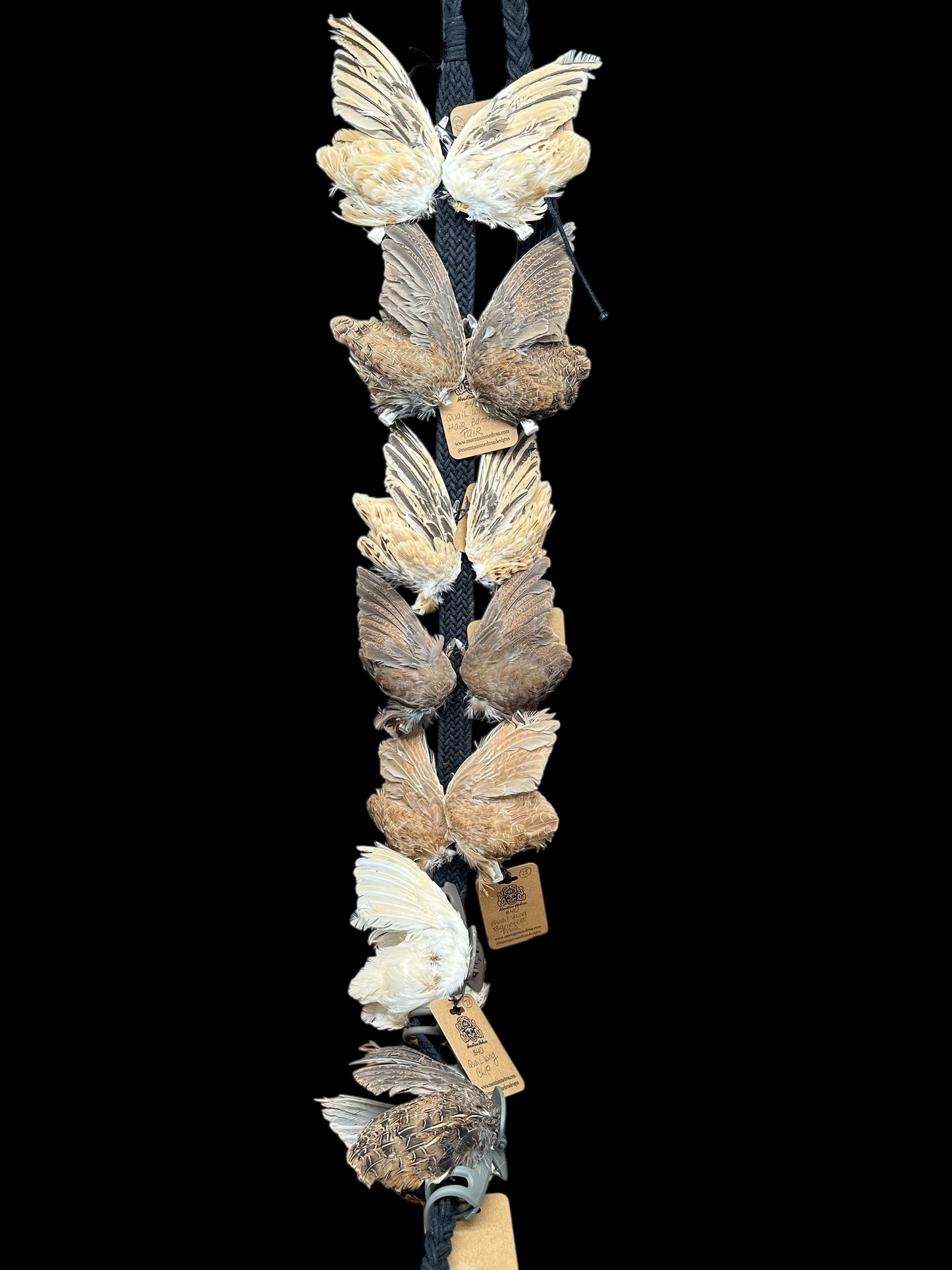 Quail Wing Barrettes (Yellow & Black)