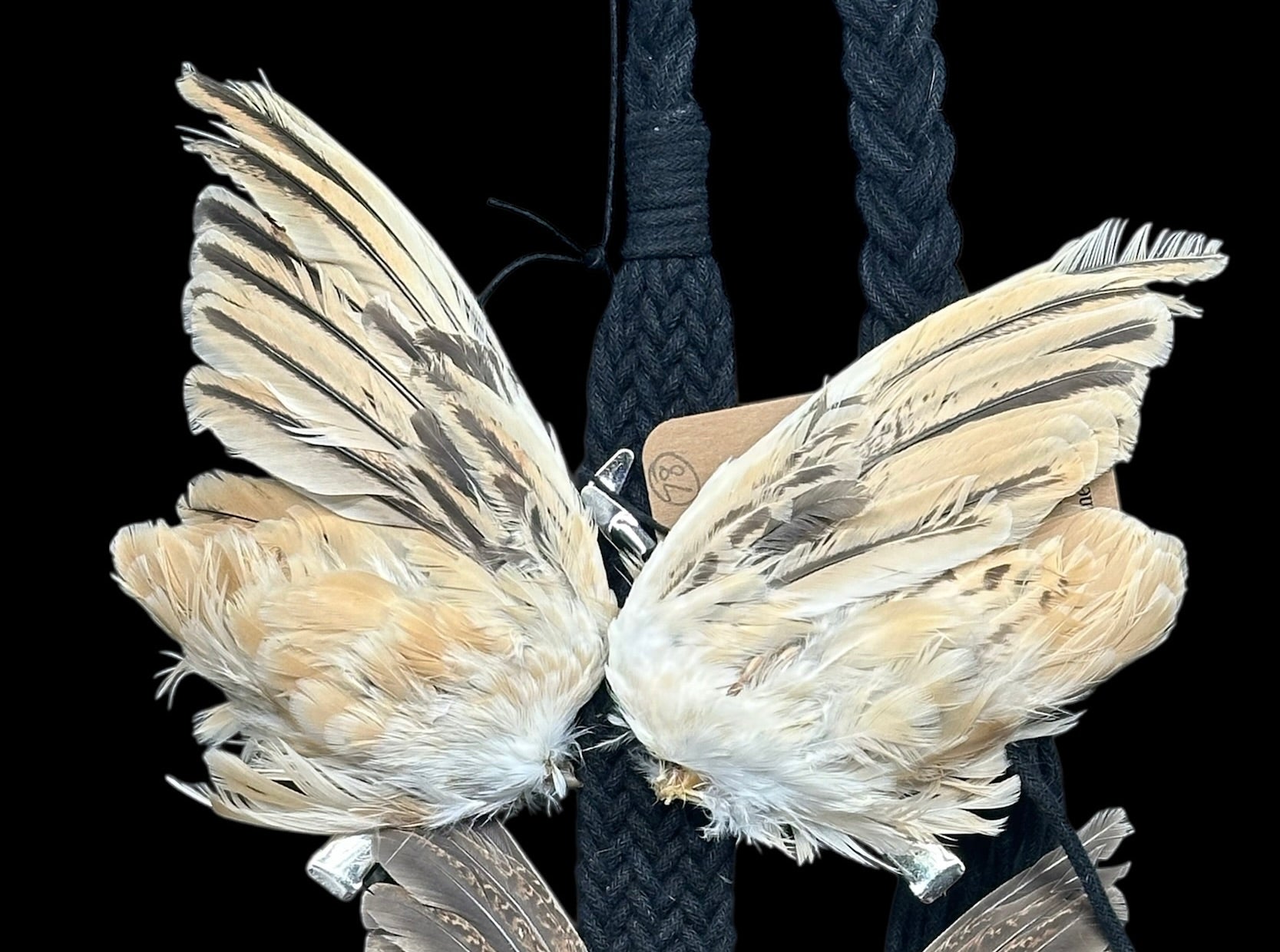 Quail Wing Barrettes (Yellow & Black)