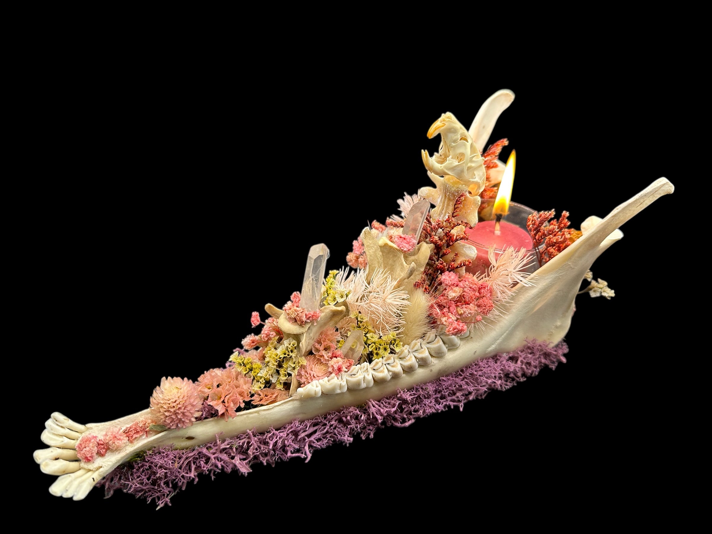 Deer Jaw Candle Holder