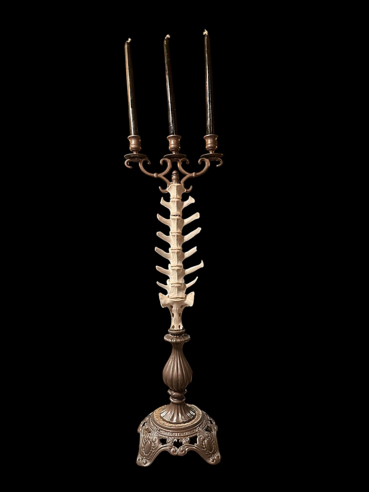 Brass Candelabra with Deer Vertebrae