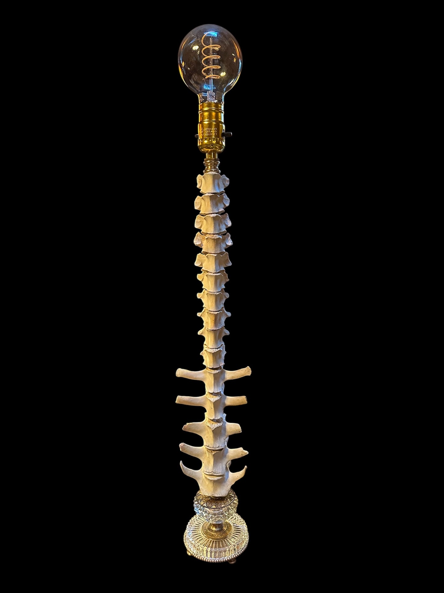 Deer Spine Lamp with Edison Bulb