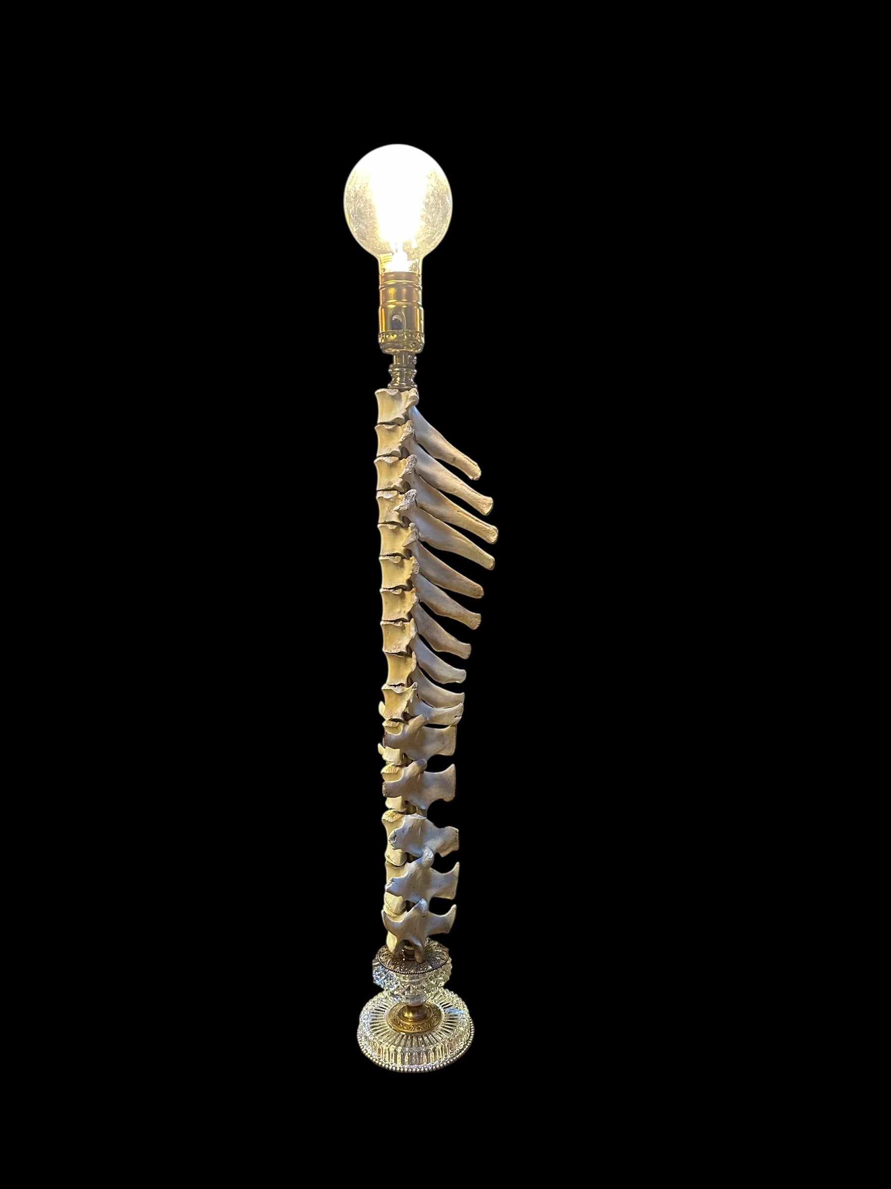 Deer Spine Lamp with Edison Bulb