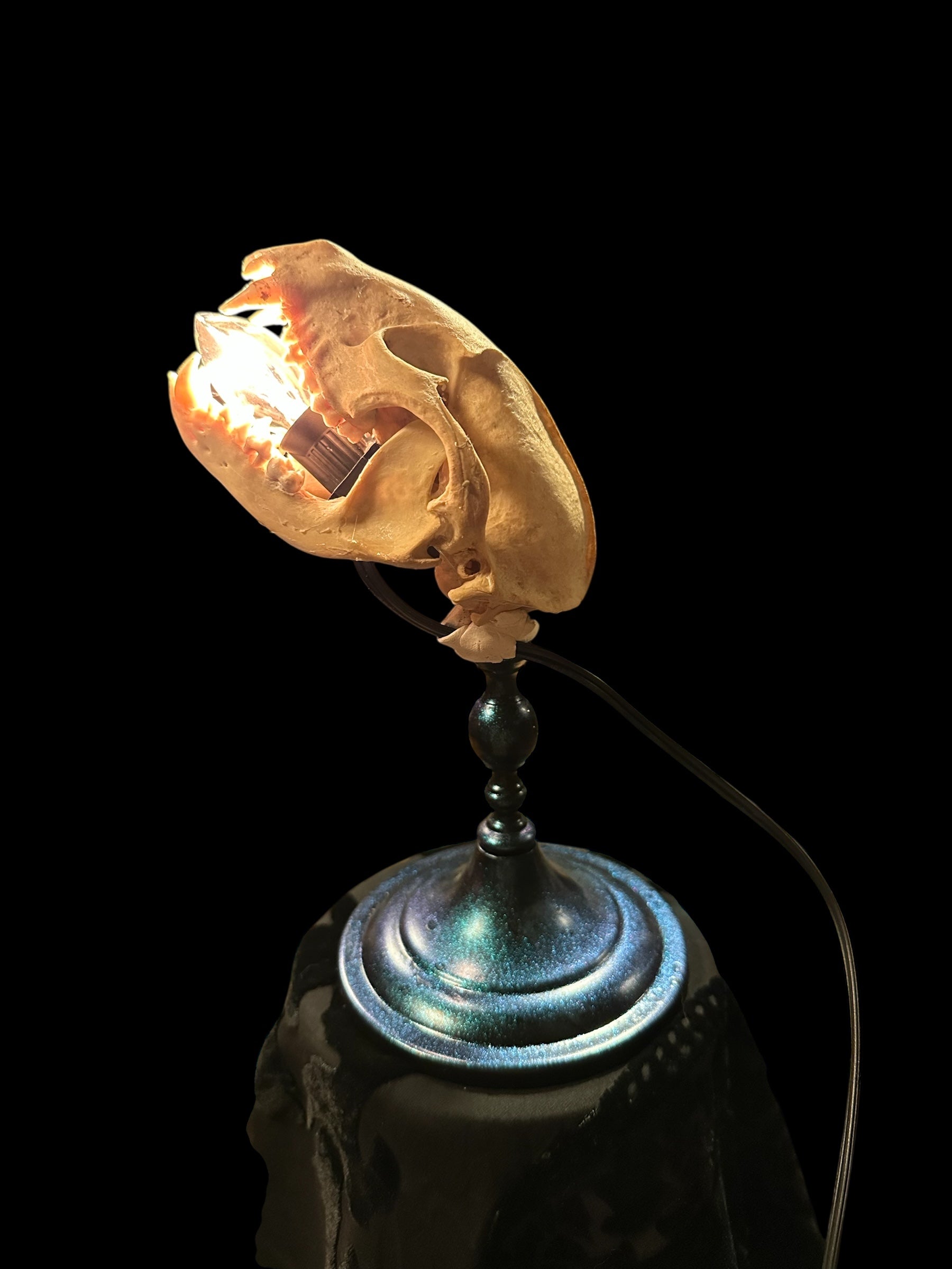 Racoon Skull Lamp (Green)