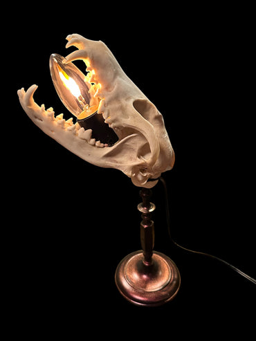 Coyote Skull Lamp (Copper)