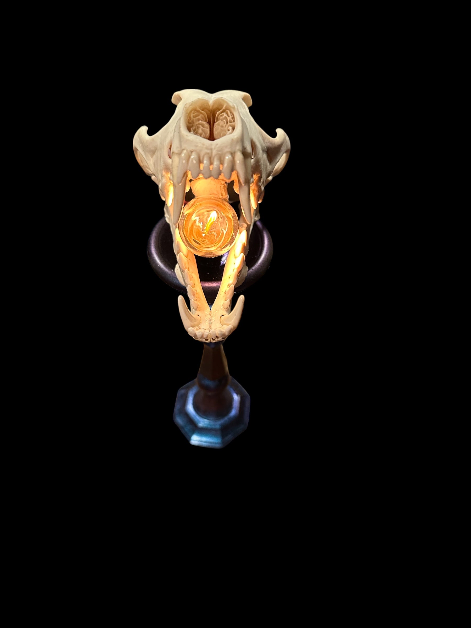 Coyote Skull Lamp on Candlestick Holder (Blue)