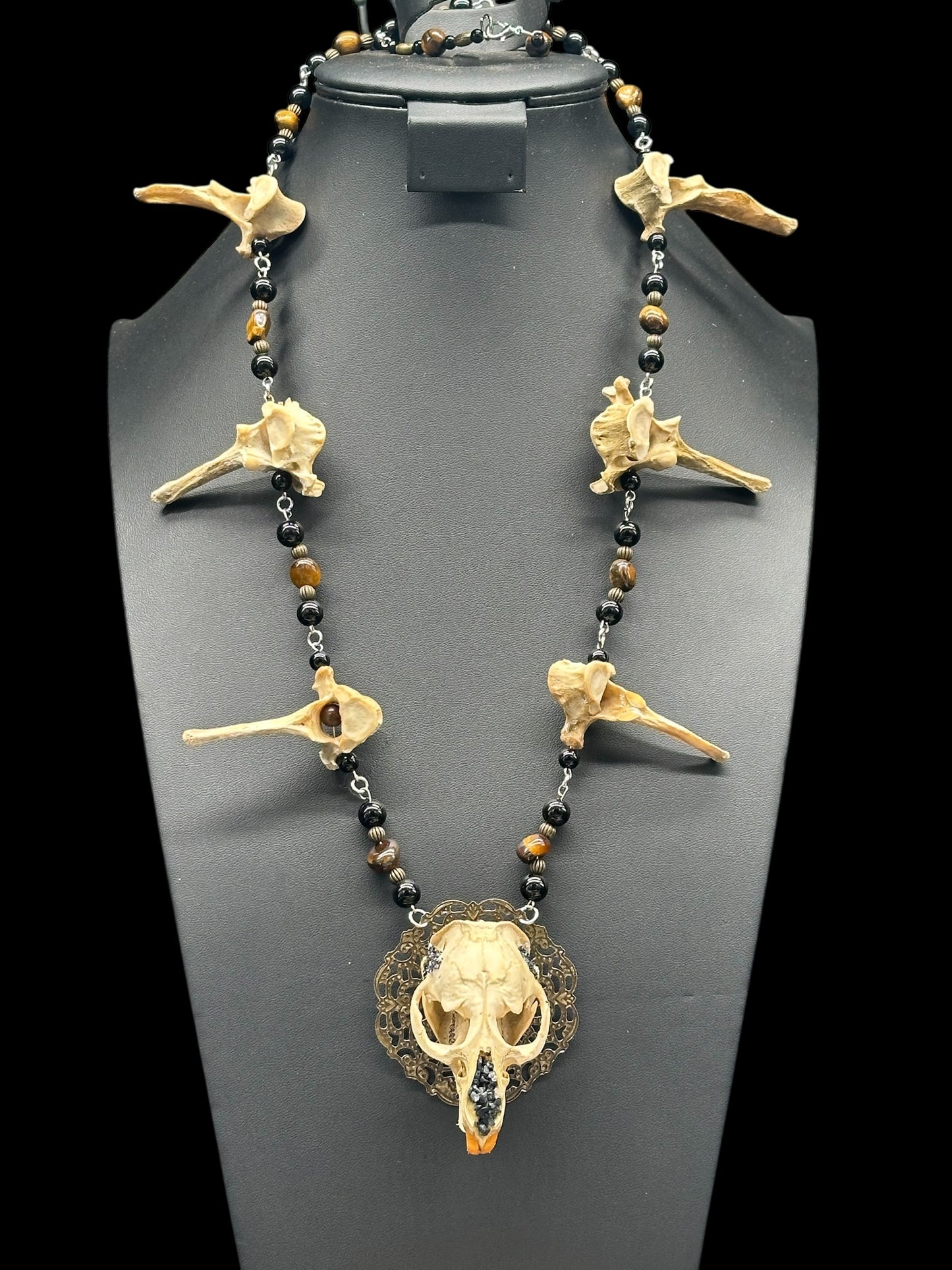 Muskrat Skull with Coyote Vertebrae Necklace