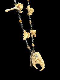 Muskrat Skull with Coyote Vertebrae Necklace