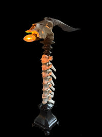 Goat Skull with Horse Vertebrae
