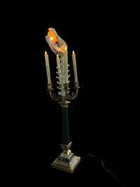 Italian Lamp with Coyote Skull and Goat Spine