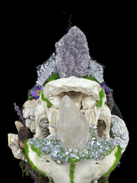 Stag Skull Plaque with Amethyst and Quartz