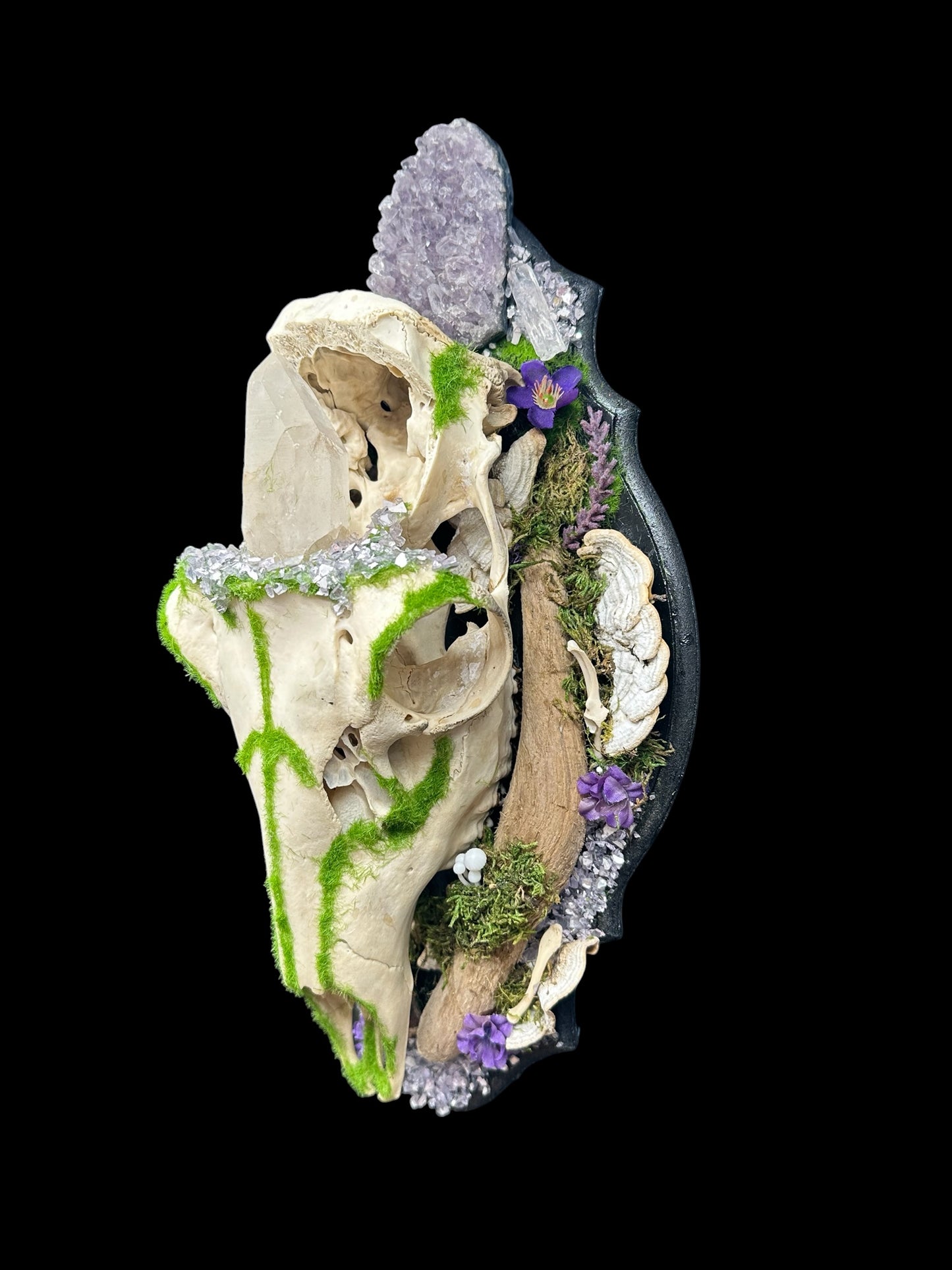 Stag Skull Plaque with Amethyst and Quartz